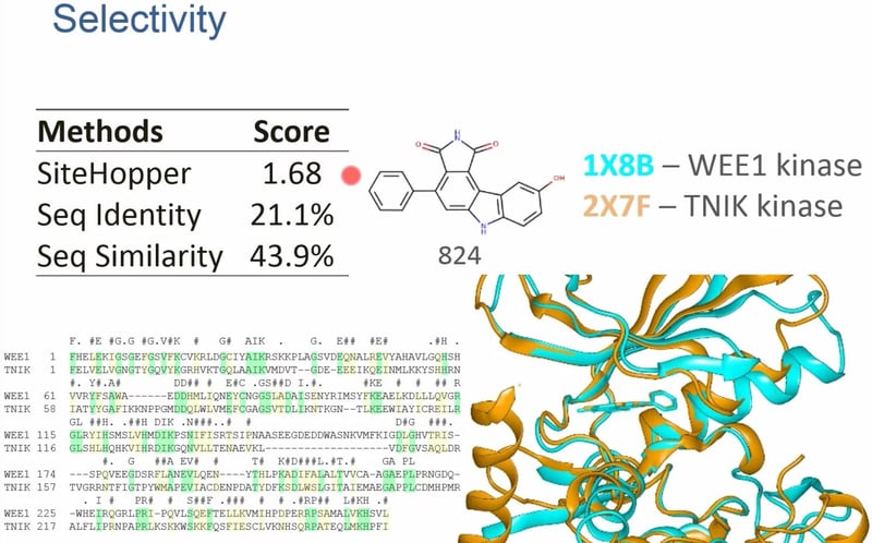 Protein Active Site Comparison with SiteHopper: Phylogeny to Polypharmacology Webinar