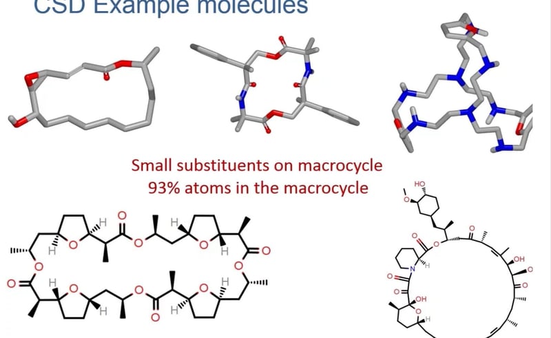Conformational Sampling Of Macrocycles: Recent Progress Webinar
