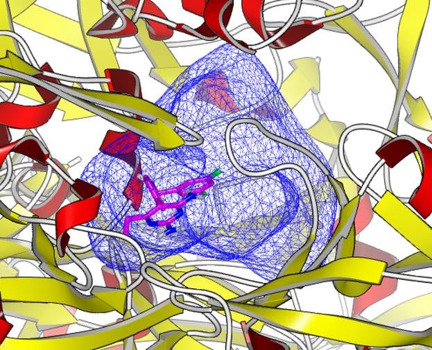 2IKO receptor.