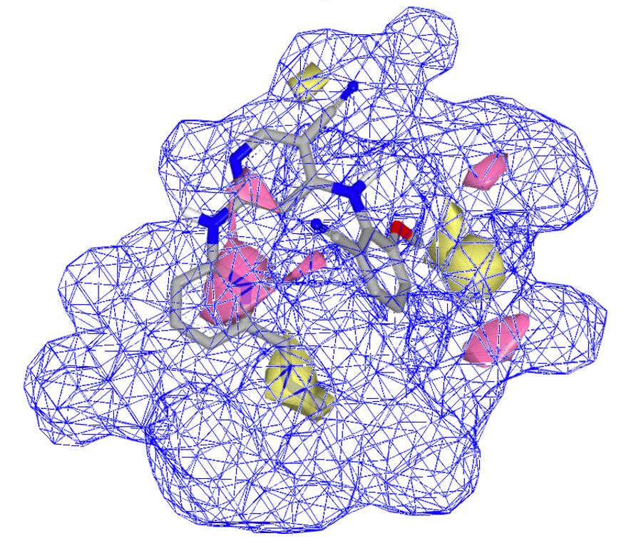 3D QSAR shape and features image