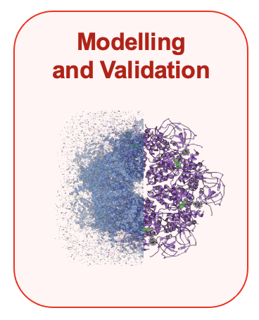 CryoEM_Structural_Model2