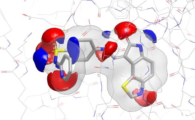 A ligand binds to a receptor when the 3-D shape it generates is complimentary to the receptor binding site and when the electrostatics of the ligand are complimentary to the electrostatics of the active site.