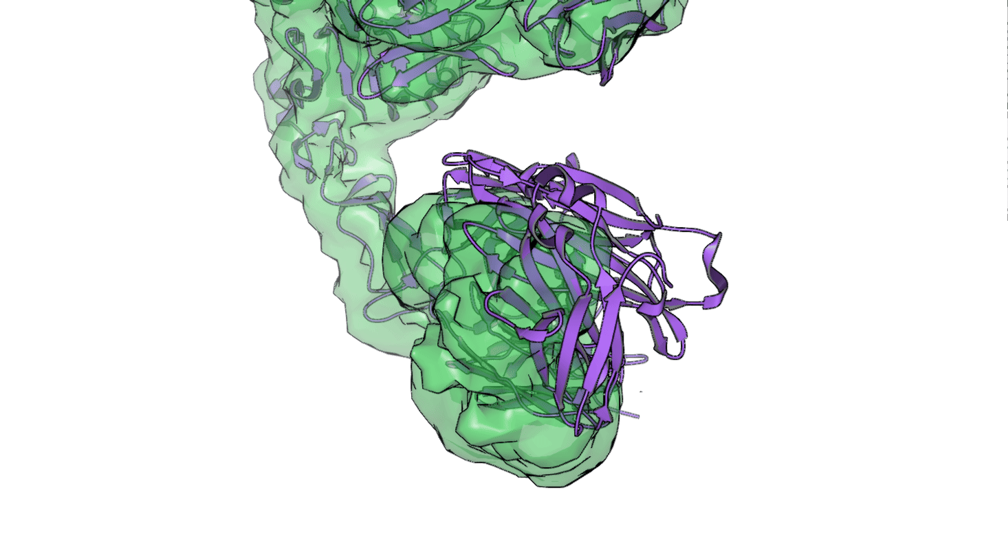ESS_protein_and_map_animated