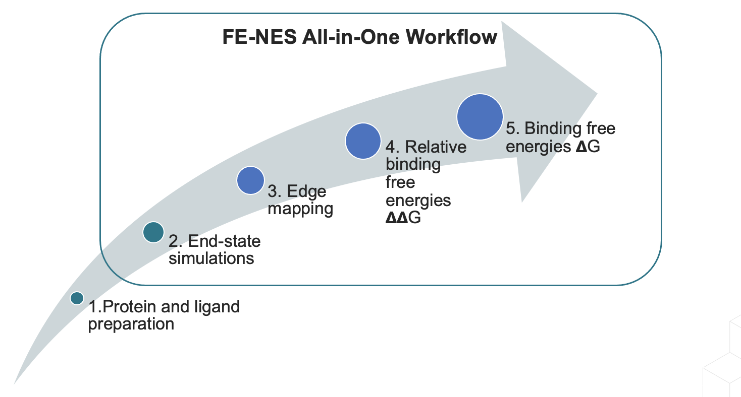 FE-NES_all_in_one_workflow_image