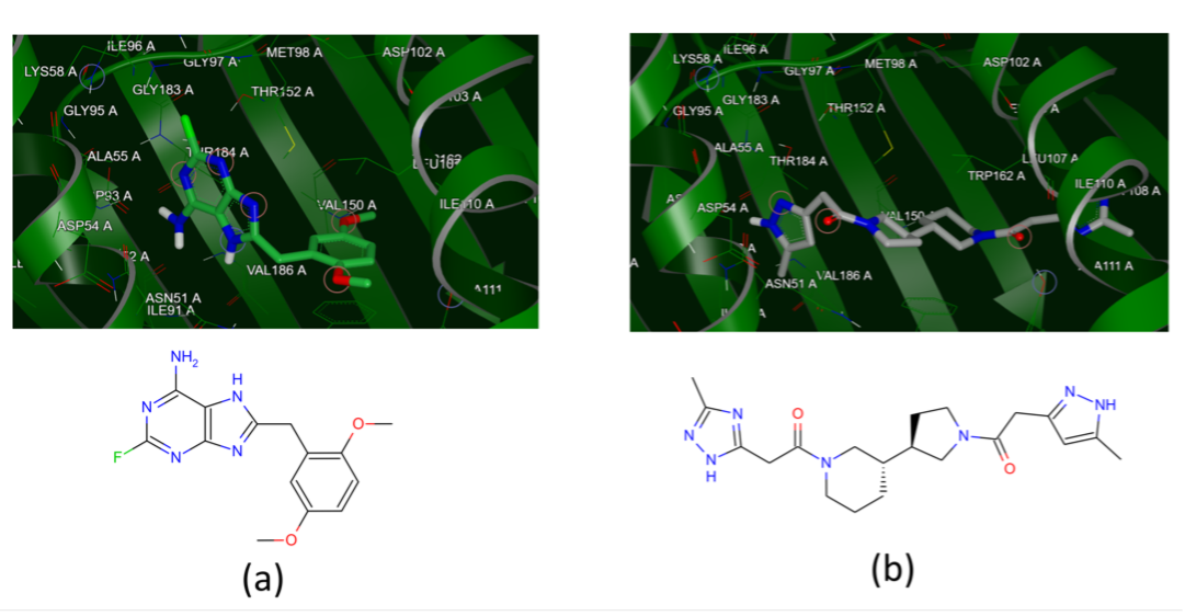 HSP90 co-crystal and docked ligand