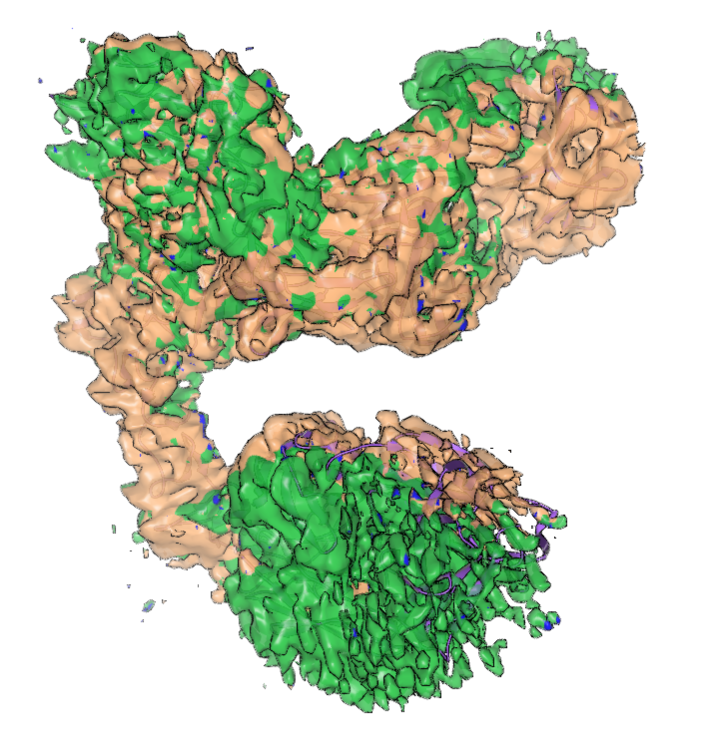 StructBio_Soup-to-Nuts_Maps_0_and_39