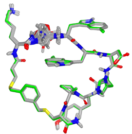 brood_macro_peptide