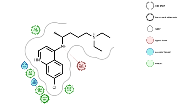 Grapheme: Advancing Protein-Ligand Visualization