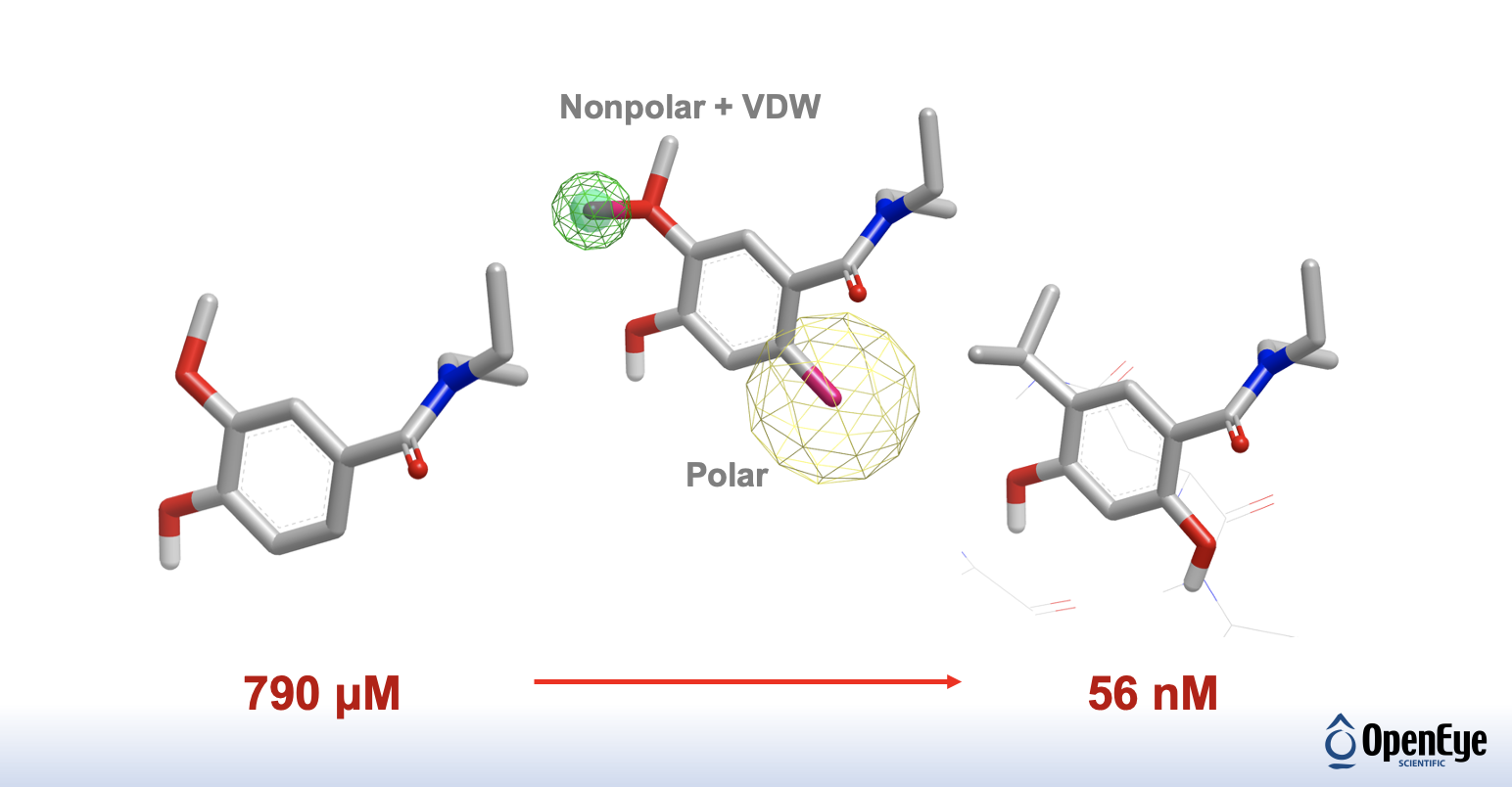 OpenEye Lead Optimization HSP90 Inhibitor