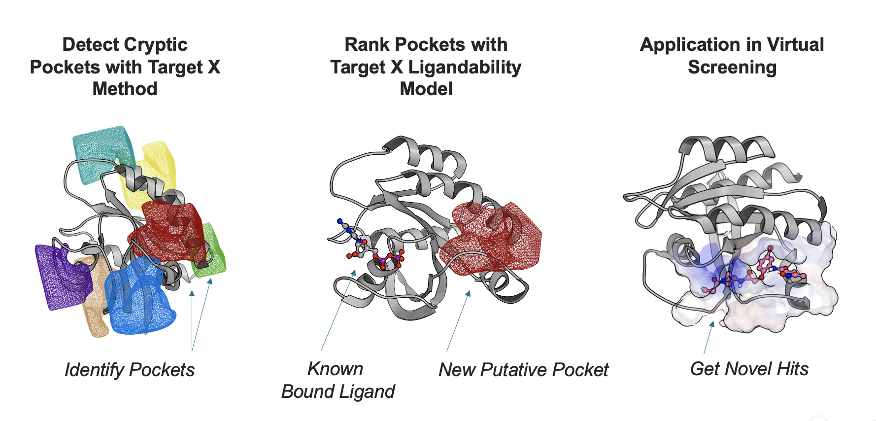 TargetX_Pockets_Rank_VirtualScreening_v3