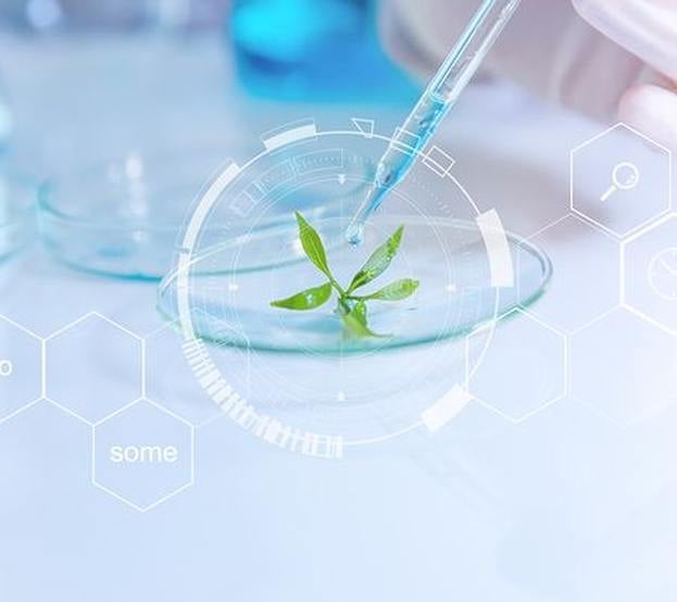 Dropper administering liquid onto leaf in glass dish, molecule structures superimposed in foreground. 