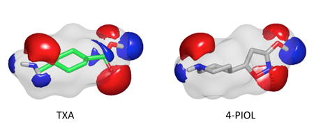 Illustration of the electrostatic similarity between two fibrinolysis inhibitors TXA (tranexamic acid) and 4-PIOL (5-(4-piperidyl)-3- isoxazolol) (Tshape = 0.77; TElectrostatic: 0.35) from Boström et.al.