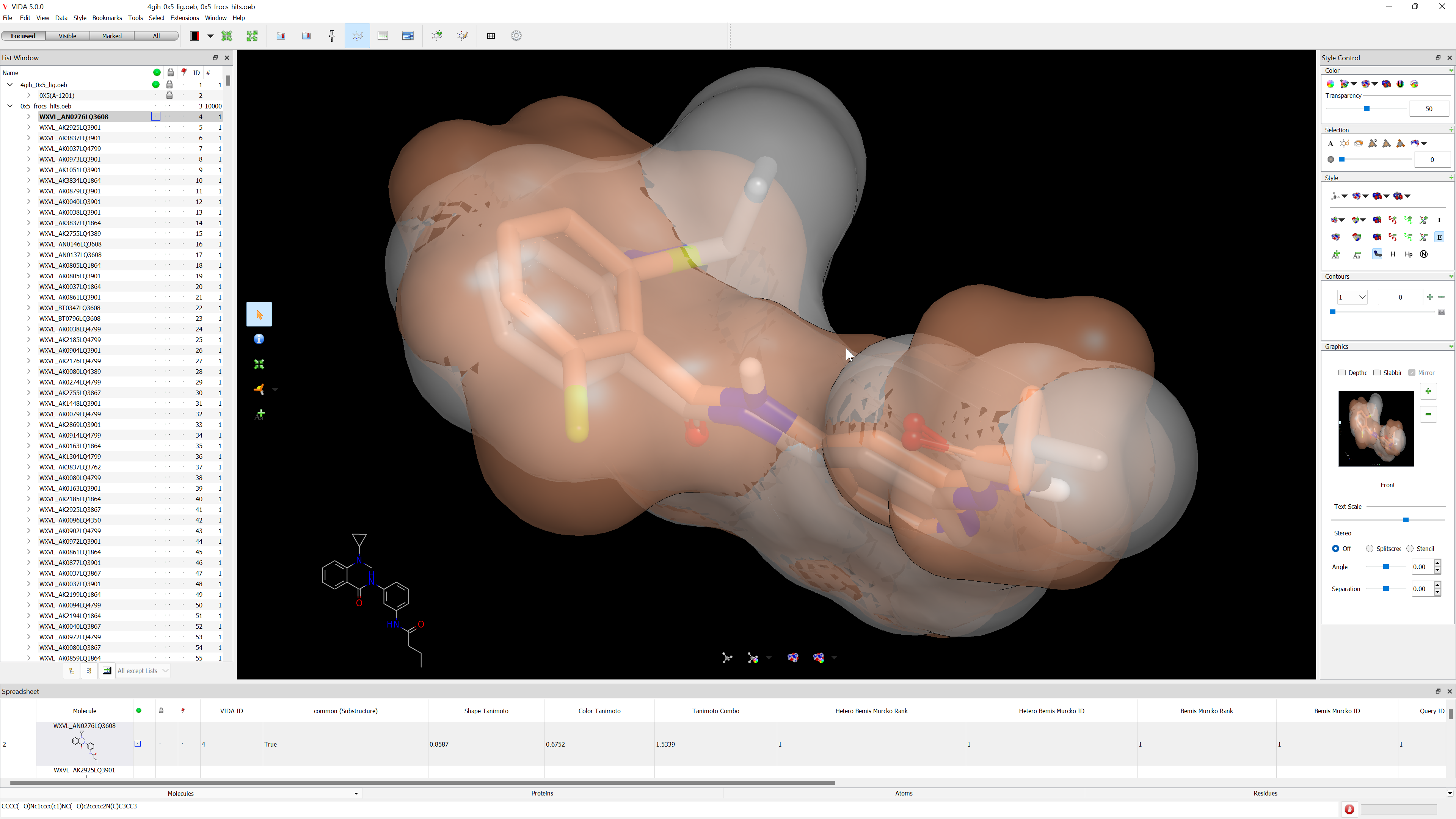 FastROCS results with surface shown in VIDA