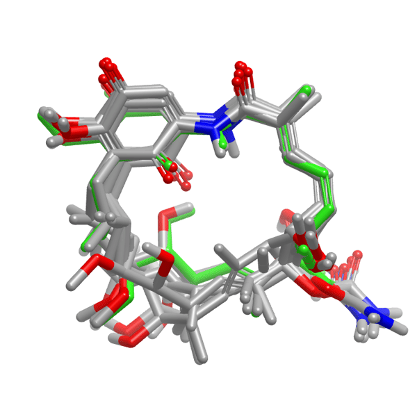 geldanamycin_macrocycle