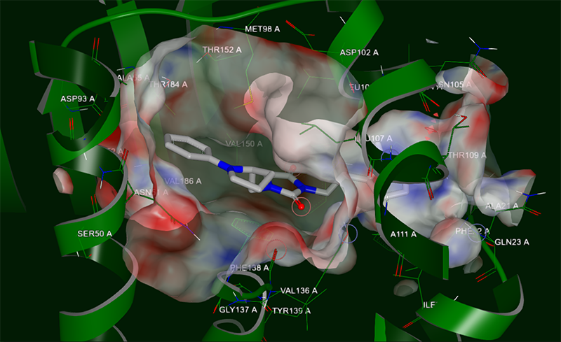 gigadocking-gpcr-target-protein