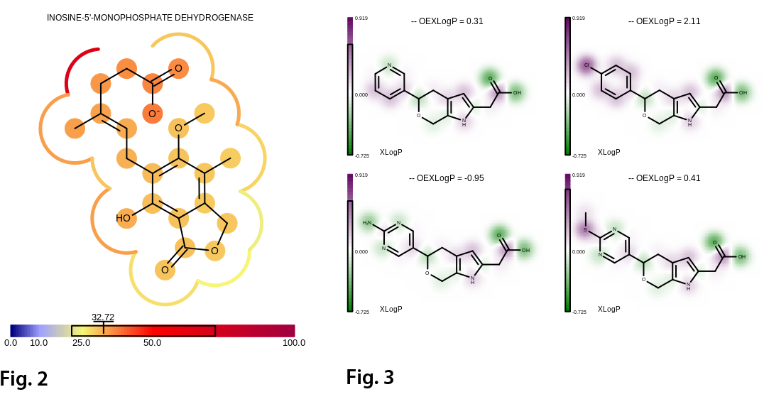 Fig. 2 Visualizing the B-factor of the ligand (MOA) using atom annotations and projecting the average B-factor of the adjacent receptor atoms into the 2D molecule surface (complex 1meh). Fig. 3 Projecting the contribution of each atom of the total OEXLogP into a 2D property map.