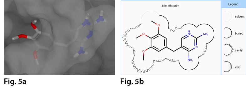 Example of the 2w3a complex (a) in VIDA (b) the 2D depiction of the complex where the molecule surface is annotated based on the distance between the accessible surfaces of the ligand and the surrounding protein.