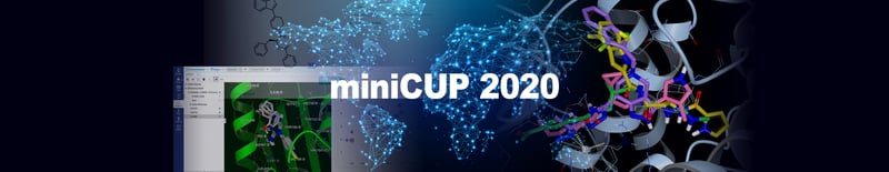 OpenEye miniCUP 2020