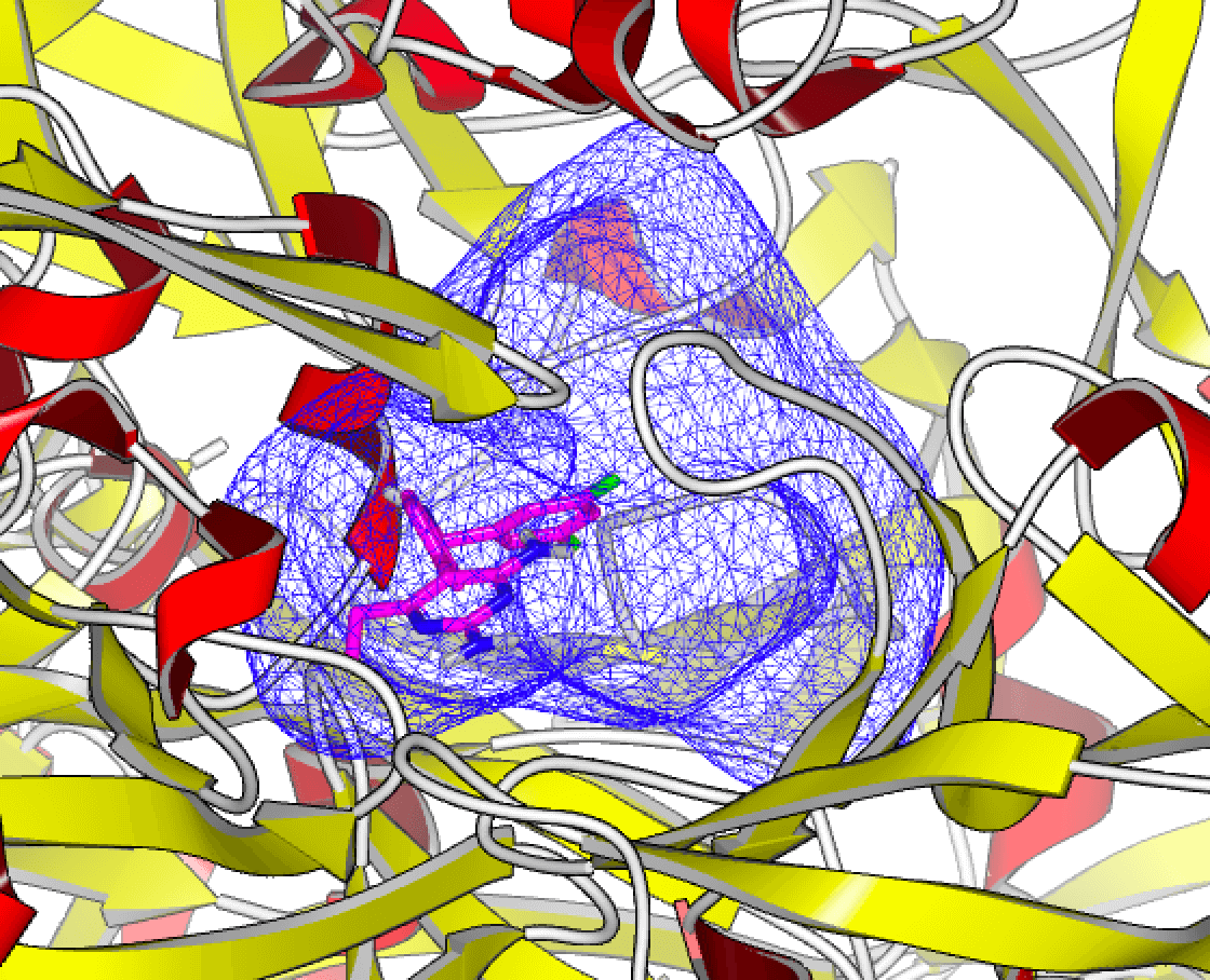 Molecular model.