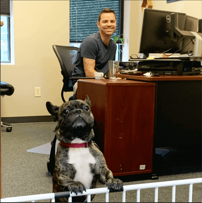 Small dog looking over a baby fence inside of an office.