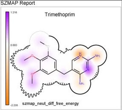 SZMAP results can be summarized in 2D Grapheme™ depictions, where calculated values are displayed in the context of the binding site environment.