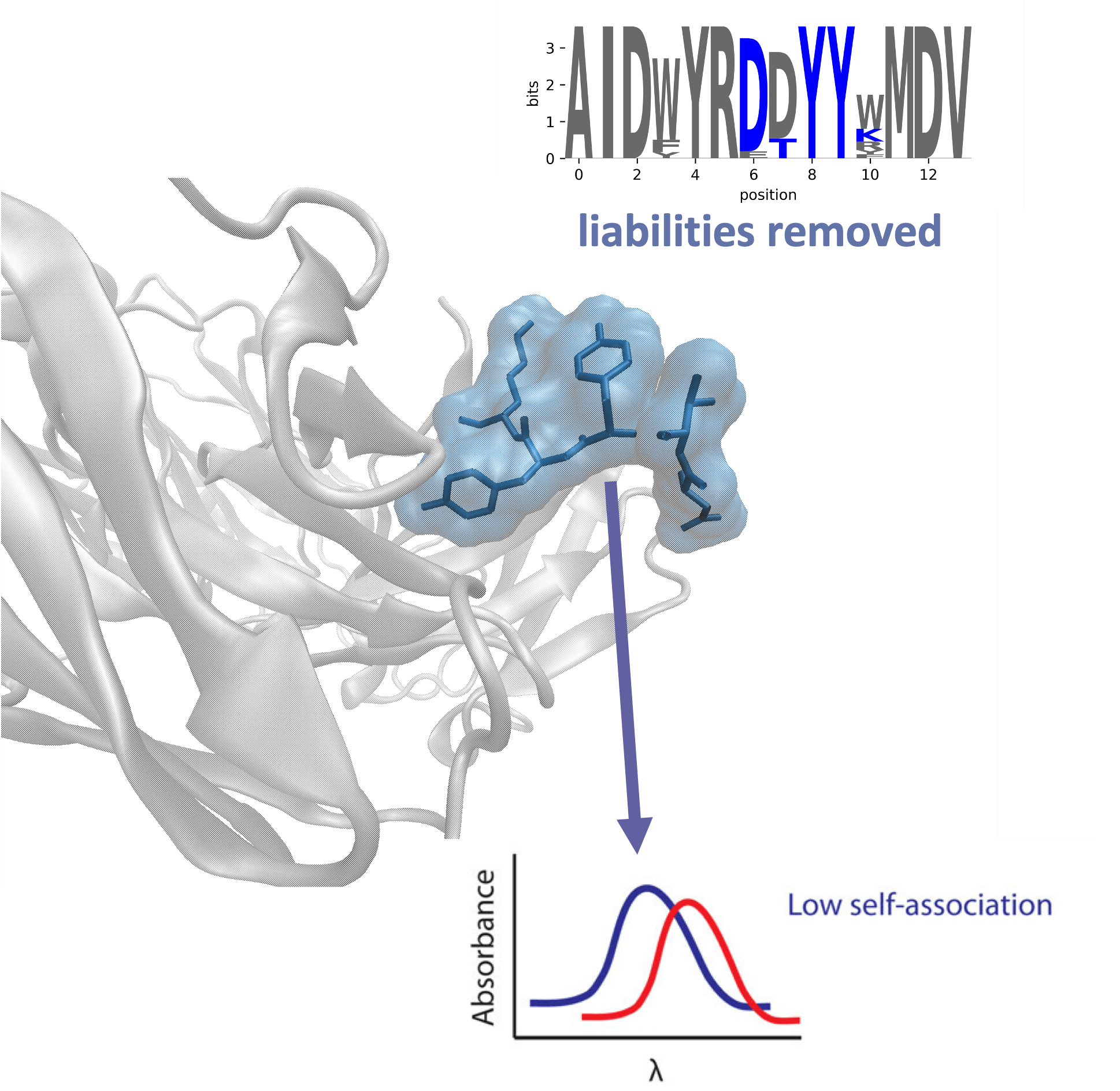 Antibody discovery.