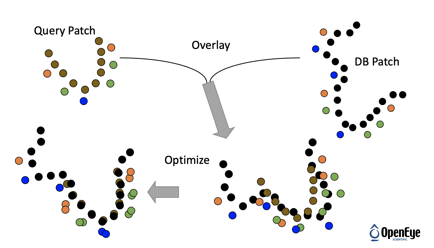 SiteHopper: Binding site (Patch) overlay against protein database sites (DB Patch) and alignment.