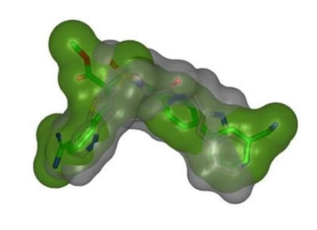 Example of a result obtained from a combination of modeling toolkits: conformers from Omega TK were overlain using Shape TK while surfaces and coloring were generated by Spicoli TK.