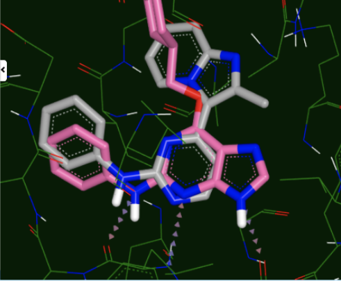 Event: Computational Biotech: From Ideation to Reality | August 23, 2022