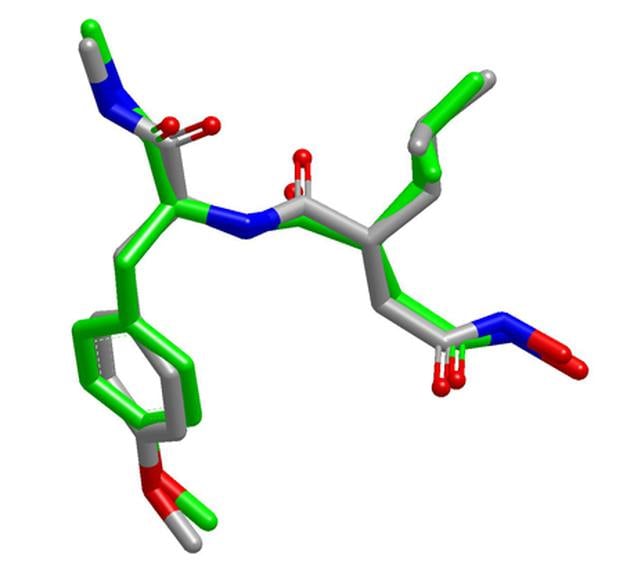 Omega reproduction