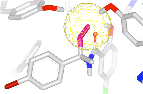 The companion tool, GamePlan, runs focused SZMAP calculations and analyzes the results to suggest ways to modify ligand chemistry based on this understanding of water structure in the immediate environment of the ligand.