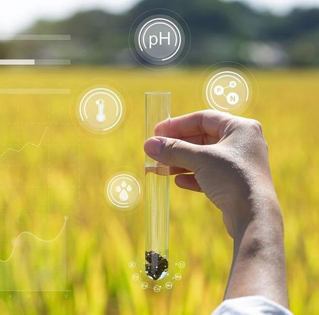 Hand holding a test tube in a grassy field, molecular icons superimposed in the foreground.