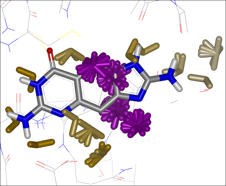 SZMAP calculations identify significant favorable or unfavorable regions of solvent thermodynamics in the binding site. Dominant water orientations are shown, which often match beneficial functional groups on ligands that bind to the protein.